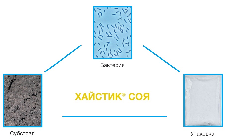 Histick_Soy_Khastik_Soya_BASF_Inokulyanty Histick_Soy_Khastik_Soya_BASF_Inokulyanty